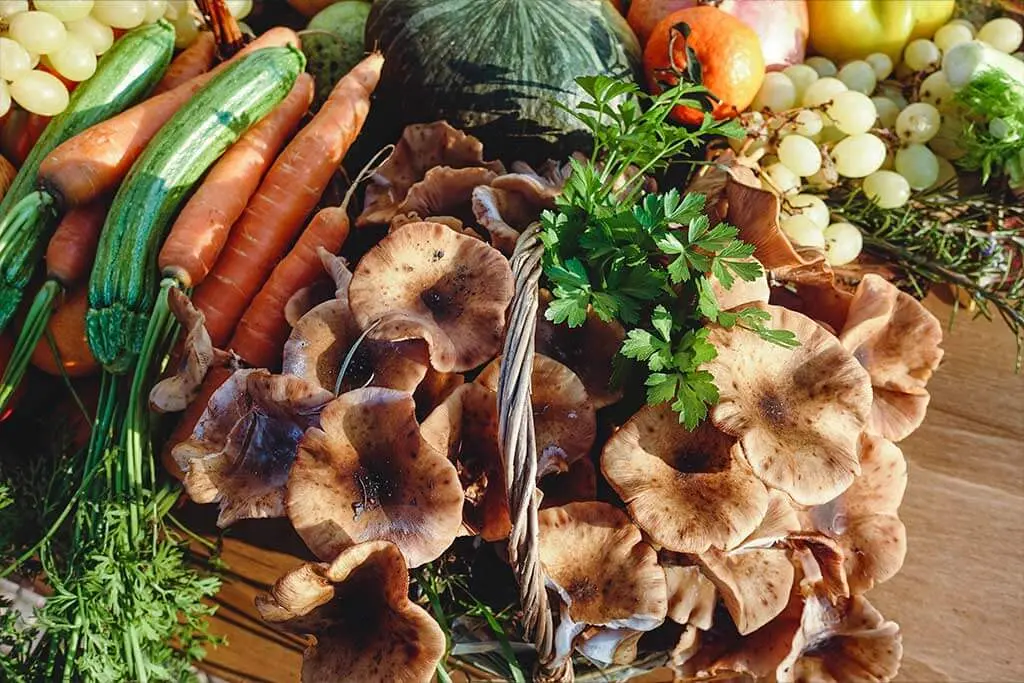 Productos de temporada de septiembre en la Ribera del Duero