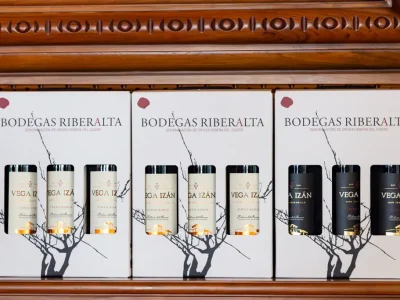 castillo-de-izan-de-la-vid-al-vino